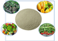 Fertilizantes orgánicos que contienen aminoácidos quelados, calcio y boro en la nutrición de las plantas