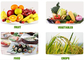 Fertilizantes orgánicos que contienen aminoácidos quelados, calcio y boro en la nutrición de las plantas