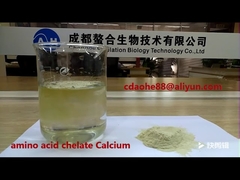 Potasio Quelatado con Péptidos de Aminoácidos Bio Orgánicos Promueve el Crecimiento