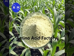 Hidrolizados vegetales ricos en péptidos y aminoácidos con proceso enzimático y de fermentación