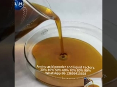 Fertilizante líquido de calcio y boro, fertilizante de árboles frutales con aminoácidos en las plantas.