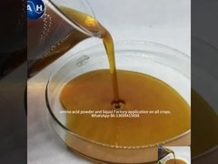 Aminoácido Quelado Potasio para el color de la fruta Promoviendo el desarrollo del color rojo