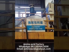 Fertilizante en polvo de aminoácidos naturales para el crecimiento de las plantas Quelato de magnesio