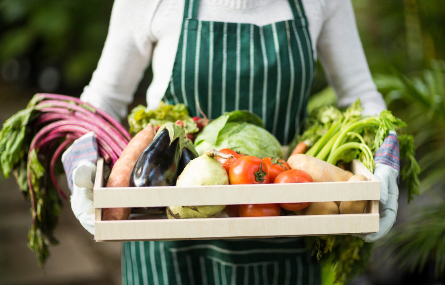 Últimos blogs de la empresa sobre El fertilizante del aminoácido promueve la absorción de alimentos por las cosechas