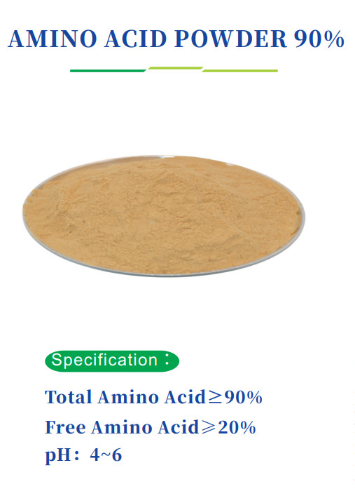 Últimos blogs de la empresa sobre Nuevo producto/ polvo de aminoácidos 90% sin hidroxiprolina