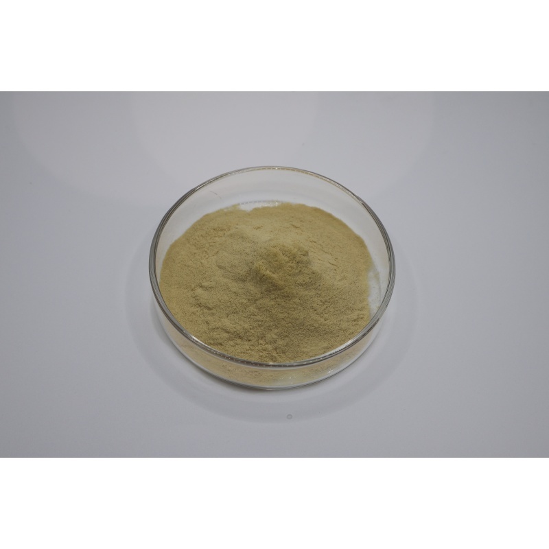 Últimos blogs de la empresa sobre From Fermentation to Quality Testing: A Technical Guide to Evaluating 90% Fertilizer Grade Amino Acid Powder