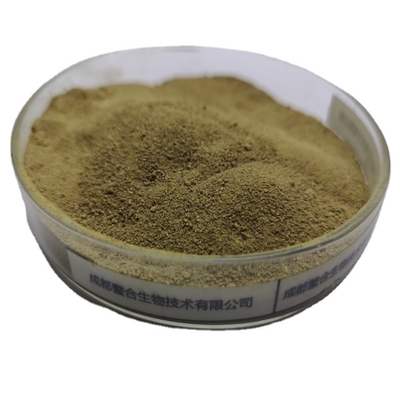 comprar Tipos alimento esencial del polvo 18 del aminoácido el 80% de la fuente de la planta de España que promueve crecimiento sano fuerte online manufacture