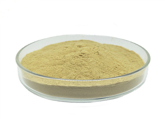 comprar Aminoácido orgánico el 80% del polvo del nitrógeno el 13% para los cereales de las verduras online manufacture