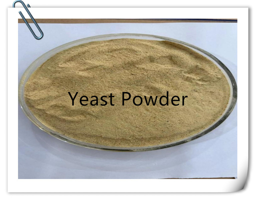 comprar Levadura en polvo con alto contenido de proteínas de grado de alimentación animal con minerales online manufacture