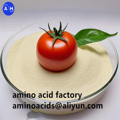 comprar Proteína vegetal hidrolizado Aminoácido en polvo 90% con alto contenido de histidina Para la nutrición orgánica de las plantas online manufacture