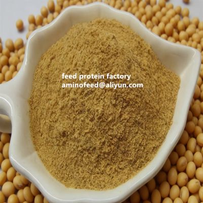 comprar Harina de Soja Alta en Proteínas 50% Proteína, Color Amarillo Natural, en Polvo | No Modificado Genéticamente, Altamente Digestible, Promueve la Digestión, Adecuado para Aves y Animales Acuáticos online manufacture