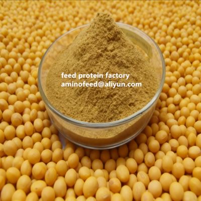 comprar Non-GMO Soy Protein Concentrate with 50% Protein Highly Digestible for Poultry and Aquatic Animals online manufacture
