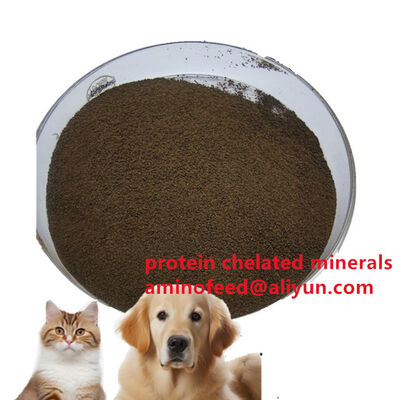 comprar Aditivo para piensos Proteína bacteriana en polvo Proteína animal para micobacterias Tailandia Fabricación en línea
