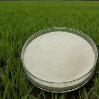 comprar Polvo de aminoácidos hidrolizados de maíz de grado fertilizante agrícola al 85% Fabricación en línea