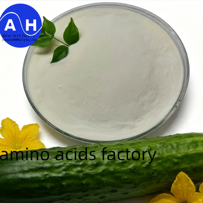 comprar Proteína de maíz Aminoácido 80% con tecnología de hidrólisis profunda, 100% soluble en agua y fuente no transgénica Fabricación en línea