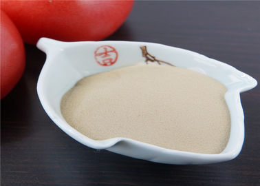 comprar Fertilizante orgánico del bio alto nitrógeno para las verduras de hoja de las plantas L aminoácido online manufacture