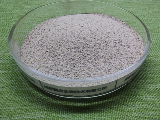Producción de leche orgánica de la salud de la fertilidad de Trace Minerals For Cattle Improve de ganado