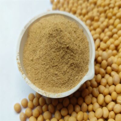 Aminoácidos Aditivos para piensos Proteína cruda con alta digestibilidad de pepsina para la nutrición integral de los animales