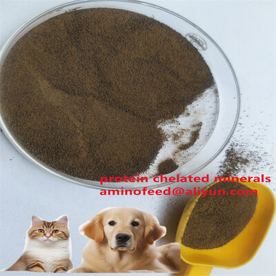 Tipo de alimento proteico animal de micobacterias con proteína cruda superior al 70%