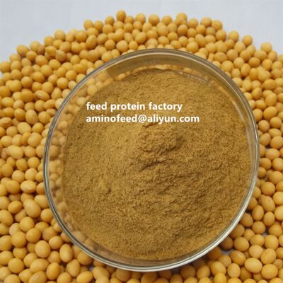 Proteína en polvo de soja hidrolizada no OGM con CP50% en polvo amarillo claro para reemplazar la harina de pescado